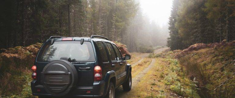 4x4 on a road in forest